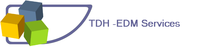 TDH -EDM Services
